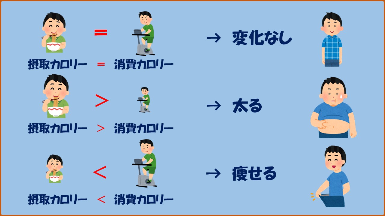 ARK Conditioning Laboratory 整体 & パーソナルトレーニング